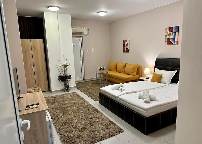 Family 普罗夫迪夫