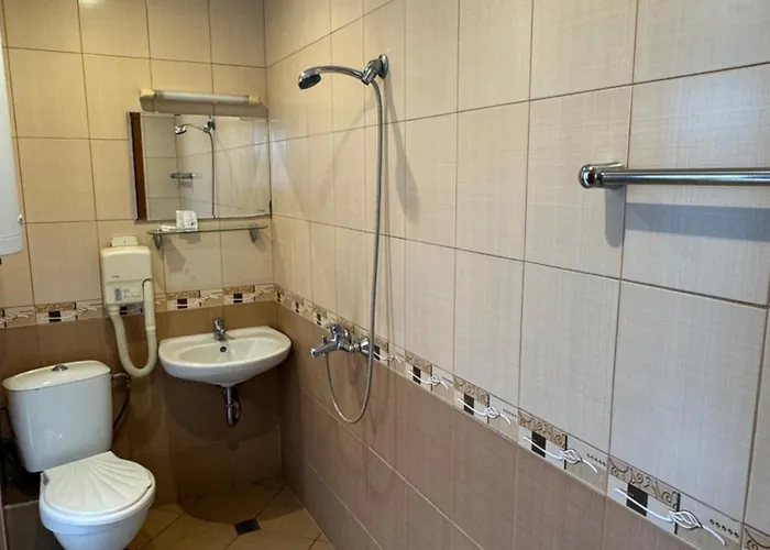 Family 普罗夫迪夫